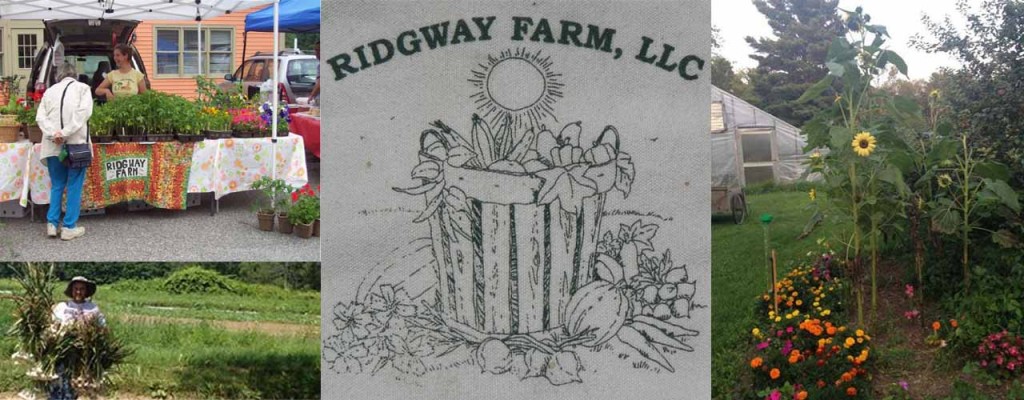 Ridgway Farm